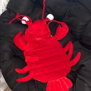 Pet costume